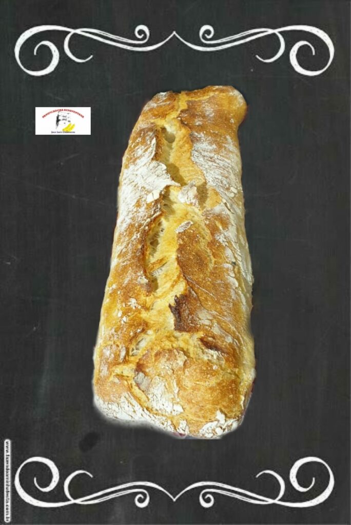 WhatsApp Image 2024-11-19 at 11.35.31 (4)